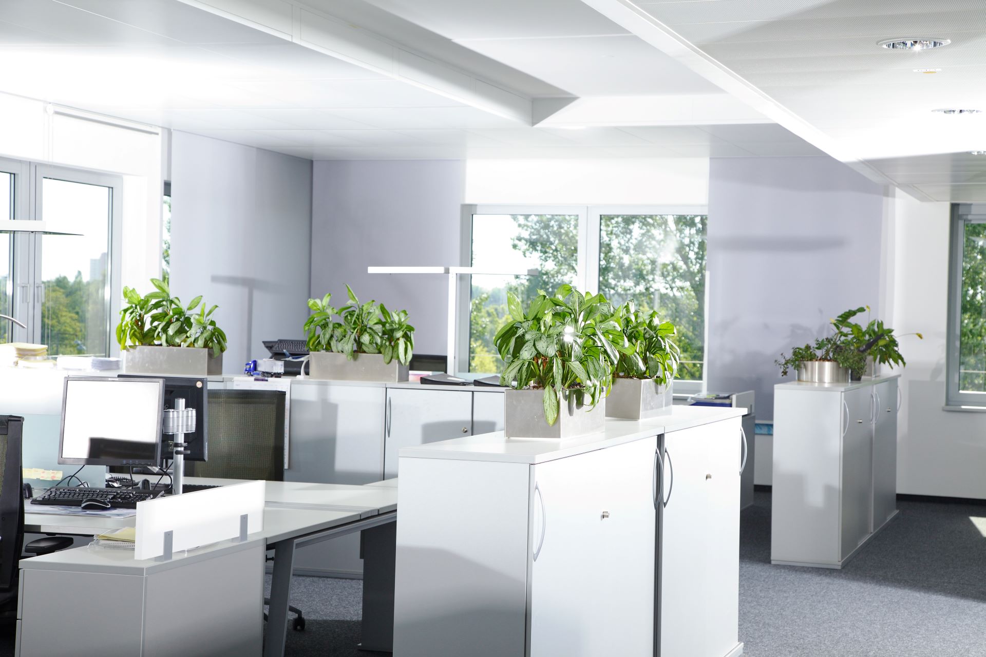 Resume Writing Services Glendenning NSW